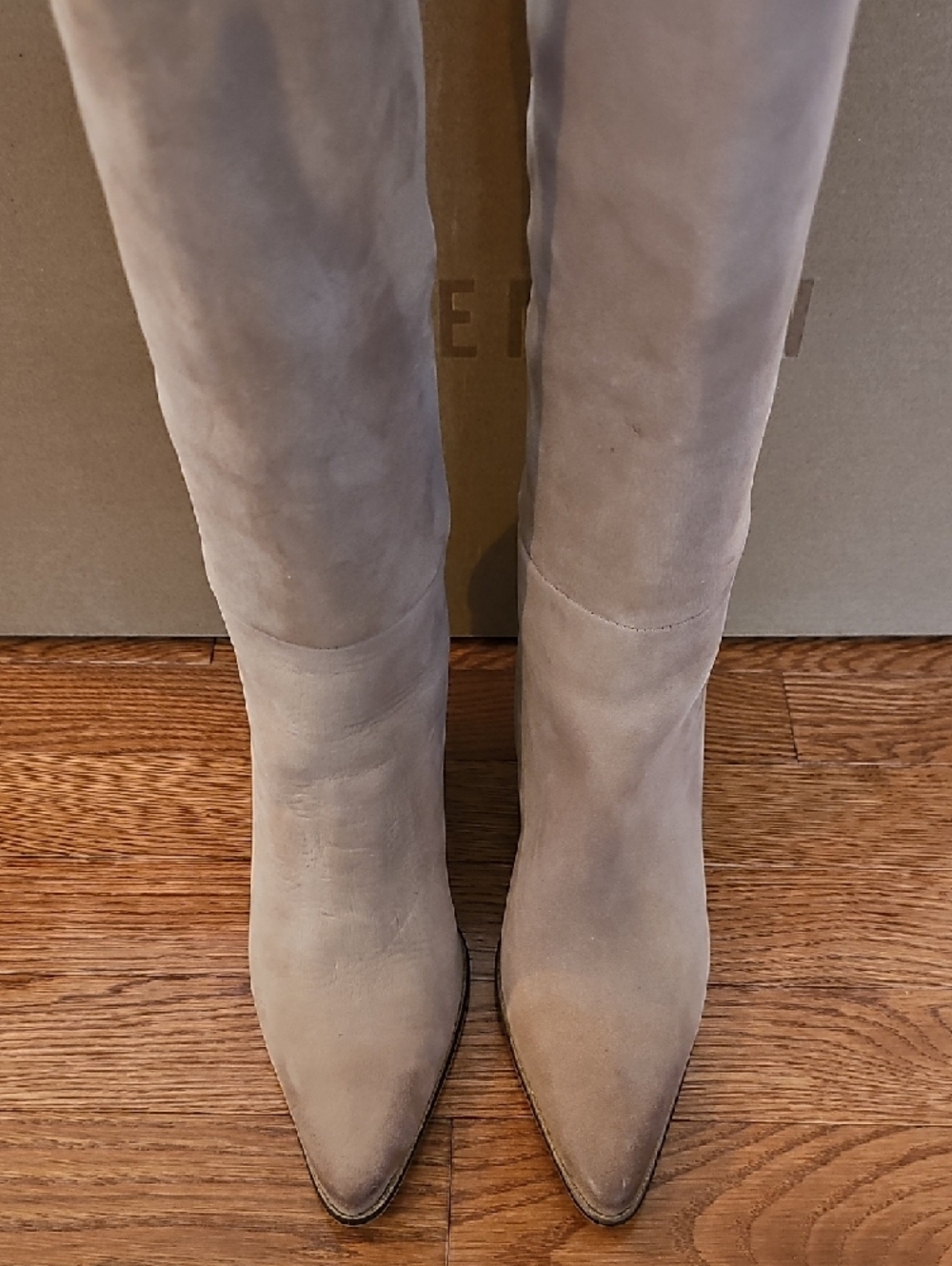 Steve Madden Knee-High Suede Pointed-Toe Boots in Taupe - Picture 2 of 6